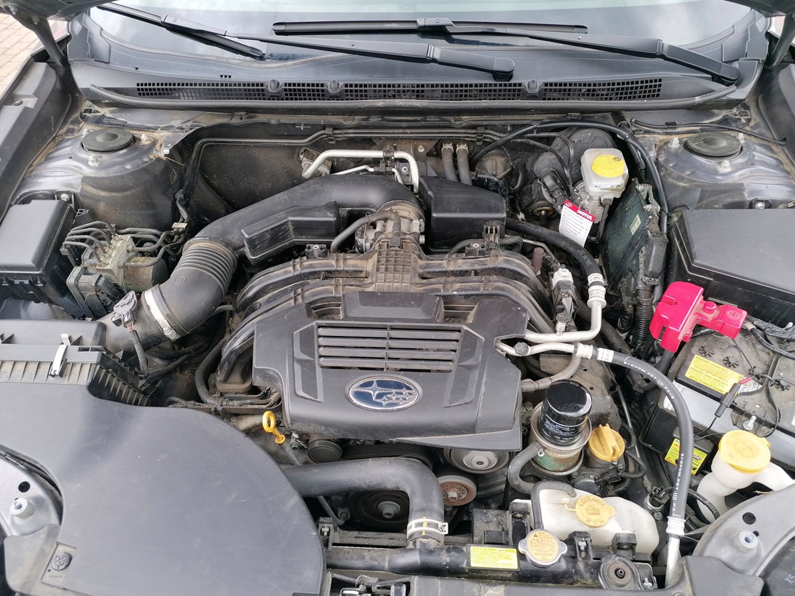 SUBARU Outback TOURING MY2021